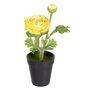 BigBuy Home Plante décorative Fleur Noir, Vert, Orange