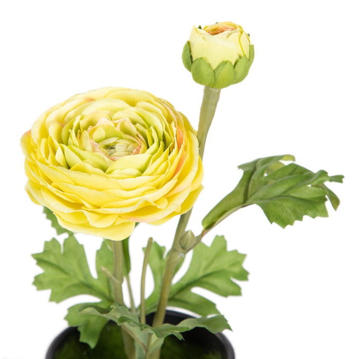 BigBuy Home Plante décorative Fleur Noir, Vert, Orange