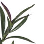 BigBuy Home Plante décorative PEVA 30 X 25 X 72 CM