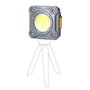 Projecteur LED EDM 36108 15 W 6500 K Mini