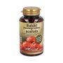 PLANTAPOL Reishi + Acerola 110 capsules