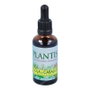 PLANTIS Extrait de Cola Caballo 50ml