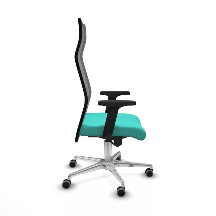 Chaise de Bureau Piqueras y Crespo B2D086G Turquoise