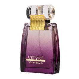 New Brand Velvet Eau de Parfum pour Femmes 100 ml