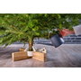 Krinner Kopenhagen White support de sapin de Noël 2,5 m / 12 cm blanc et marron