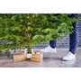 Krinner Kopenhagen White support de sapin de Noël 2,5 m / 12 cm blanc et marron