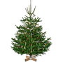 Krinner Kopenhagen White support de sapin de Noël 2,5 m / 12 cm blanc et marron