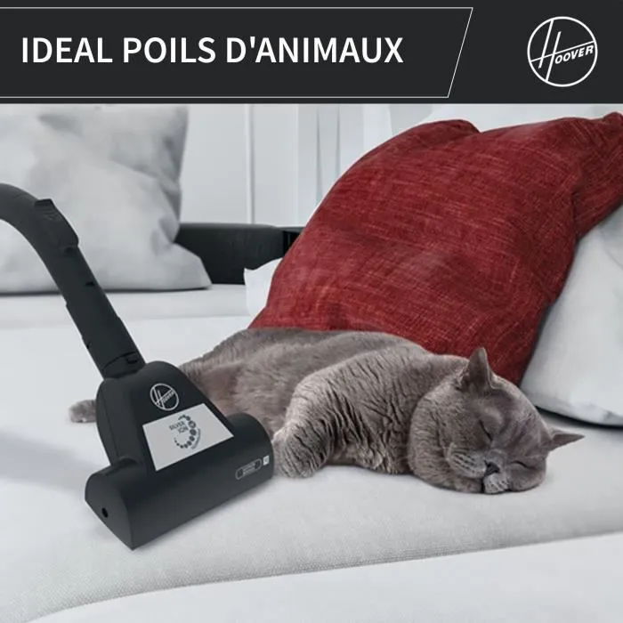 Hoover HP320PET Aspirateur traîneau sans sac 850 W 2 L - Aspirateur cyclonique avec brosse spéciale animaux et allergies