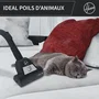 Hoover HP320PET Aspirateur traîneau sans sac 850 W 2 L - Aspirateur cyclonique avec brosse spéciale animaux et allergies