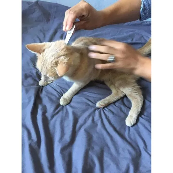 Vetocanis Action Duo - Pipette Antiparasitaire pour Chat contre Puces et Tiques - Traitement Longue Durée - Pour chats de 1 à 6 kg et 6 à 12 kg