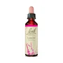 Bach Original Larch 20 ml
