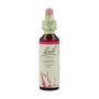Bach Original Larch 20 ml