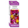 EQUISALUD FLOWER OF LIFE estudiantes 15ml