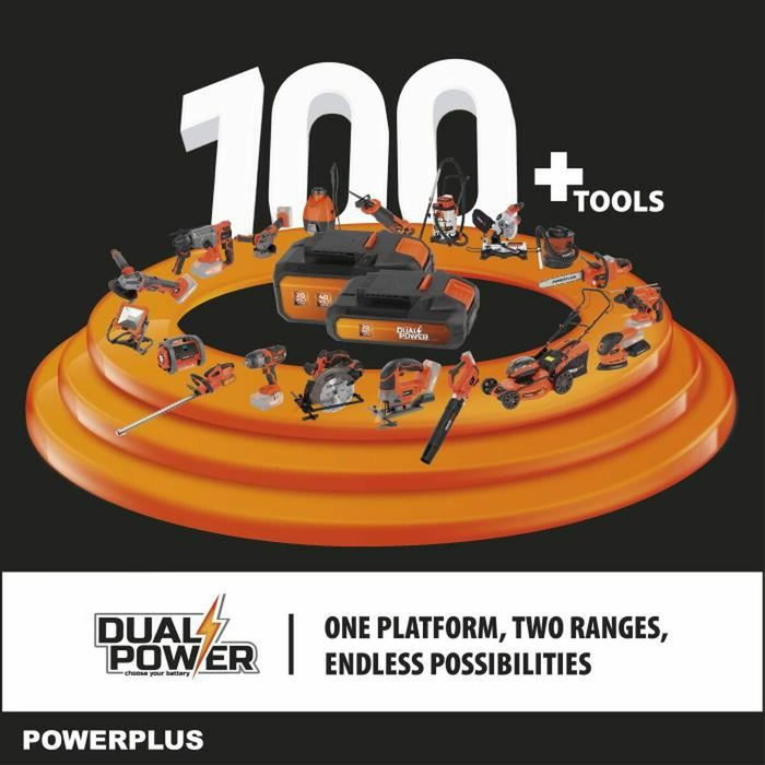 Dual Power Tronçonneuse sur batterie 20V 30cm