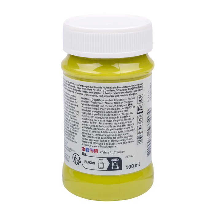 Talens Art Creation Vernis TAC Int/Ext 100 ml - Bambou Brillant