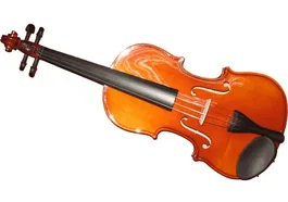 HERALD Violon en bois massif 4/4 avec diapason en ébène