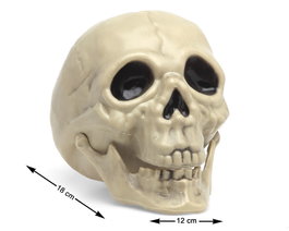Calavera Blanche Décorative Halloween 17,5x12x14cm