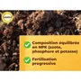 Solabiol Engrais Universel Complet Liquide 1L - Pour Tous Types de Cultures, Agriculture Biologique, Jusqu'à 100L de Solution