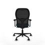Piqueras y Crespo Chaise de Bureau Jorquera 3D036N0 Noir Vert pétrole