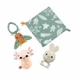 Fisher-Price Coffret 4 Jouets Sensoriels pour Bébé Les Sens en Éveil HRB17 : Carré de Tissus, Hochet Axolotl, Lapin de Dentition, Luciole à Billes