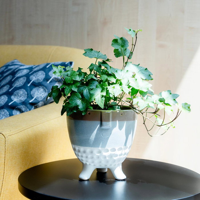 Vinthera Cache-pot Céramique Moa 16x16 cm (12 Unités) Vinthera Cache-pot Céramique Moa 16x16 cm (12 Unités)