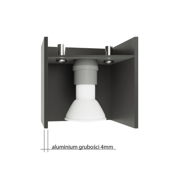 Plafonnier Lobo Black