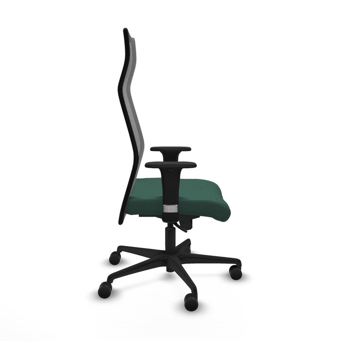 Chaise de Bureau Albacete Piqueras y Crespo B1C036N Vert