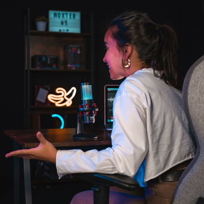 Microphone Woxter WE26-029