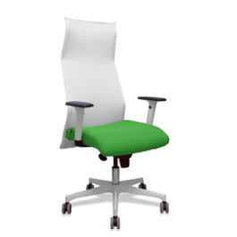Piqueras y Crespo Chaise de Bureau Albacete Vert et Blanc