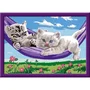 Ravensburger 25828 CreArt Kit de peinture par numéros - Chatons dans le hamac, Tableau 18x24cm avec cadre, Pinceau et Peintures inclus, À partir de 9 ans