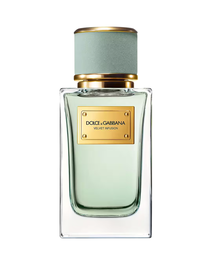 Dolce & Gabbana Velvet Infusion Eau de Parfum Unisex 100 ml