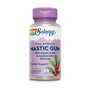 Solaray Mastic Gum 1000mg 45 capsules végétales