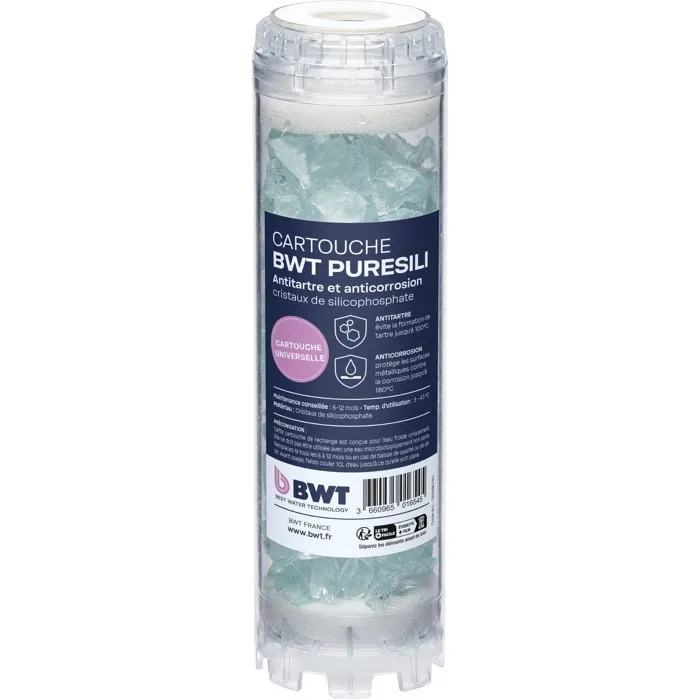 BWT - Pack annuel de cartouches de filtration ARCTIC 20 µm (anti-impuretés, antibactérien) et PURESILI (antitartre, anticorrosion) pour protection complète