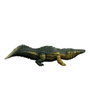 Mattel Jurassic World Wild Roar Stomatosuchus Dinosaur Jkl82 Figurine avec Sons Rugissements et Lumières