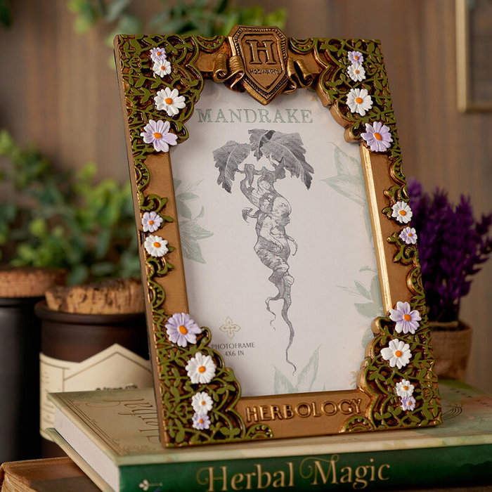 WIDDOP & CO Cadre photo Herbologia Harry Potter