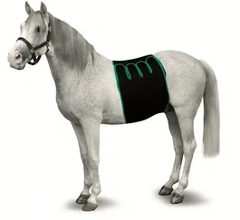 Kruuse Bandage de Récupération Taille S pour Canins