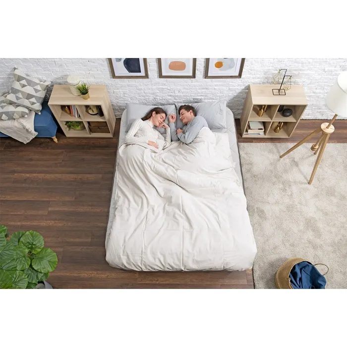 Bestway Matelas gonflable 2 places Tough Guard Fortech, Pompe électrique intégrée, Charge 350 kg, 203 x 152 x 51 cm, Idéal camping intérieur