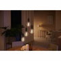 Philips Hue White Ambiance G93 Globe Ampoule LED connectée E27