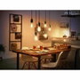 Philips Hue White Ambiance G93 Globe Ampoule LED connectée E27