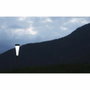 Roseau solaire court - 30 lumens - Blanc