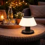 Lampe de Table Solaire 400 Lm 4000K IP54 6V 0.6W Sans Fil Rechargeable Blanc Naturel Autonomie 8H pour Intérieur Extérieur HO-PHL-1901