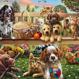 Schmidt Spiele - Puzzle Chiens et chats en pique-nique - 200 pièces - À partir de 8 ans - Détente et beauté du détail