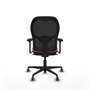 Piqueras y Crespo Chaise de Bureau Jorquera 3D036G0 Rose