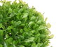 IBERGARDEN Boule ronde 22cm Verde