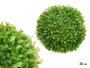 IBERGARDEN Boule ronde 22cm Verde