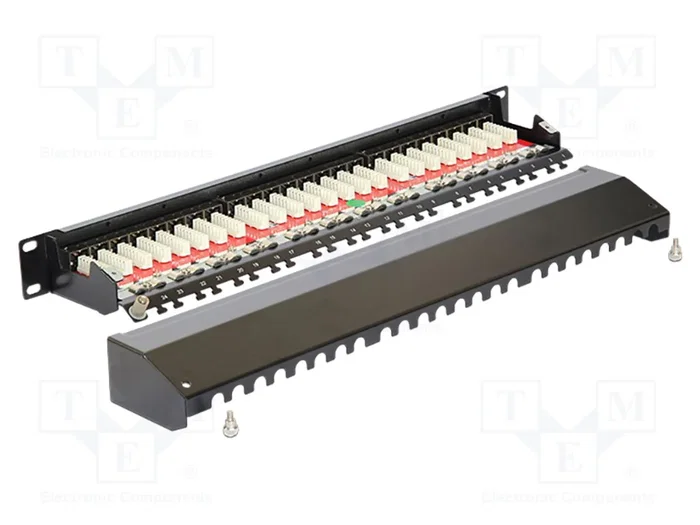 DELOCK Panneau de brassage Cat 6a 24 ports RJ45 1U 19 pouces