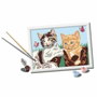 Ravensburger CreArt Kids Kit de peinture par numéros Chatons et Chaussures 18x24cm