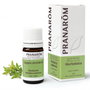 Pranarom Huile essentielle de verveine citronnelle 5 ml