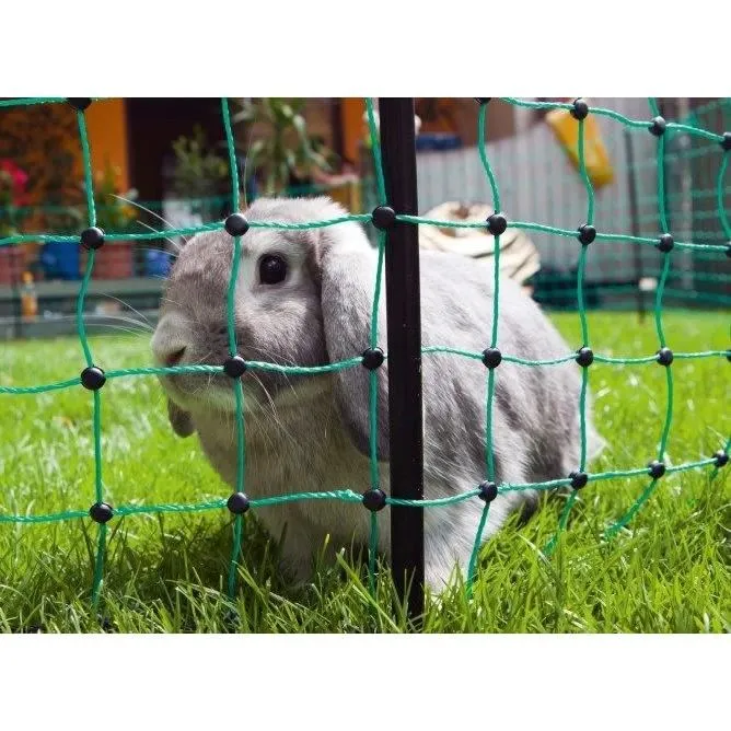 Kerbl Filet électrifiable RabbitNet 50 m x 65 cm pour lapin et petit animal - Double pointe, vert, mailles serrées