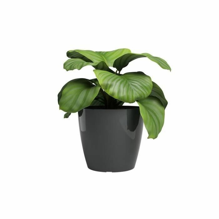 Artevasi Pot de fleur SAN REMO Anthracite brillant Rond 36 cm